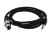 Picture of XLR Male to 3.5mm Stereo Plug - 6 FT