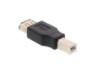 Picture of USB 2.0 Adapter - USB A Female to USB B Male - 5 Pack