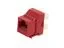 Picture of CAT6 SpeedTerm™ Keystone Jack 180 Degree 110 UTP - Red