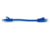 Picture of CAT6 Patch Cable - 6 IN, Blue, Booted