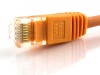 Picture of CAT6 Patch Cable - 1 FT, Orange, Booted