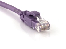 Picture of CAT6 Patch Cable - 1 FT, Purple, Booted