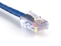 Picture of CAT6 Patch Cable - 6 IN, Blue, Assembled