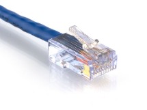 Picture of CAT6 Patch Cable - 4 FT, Blue, Assembled