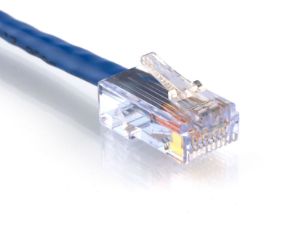 Picture of CAT6 Patch Cable - 50 FT, Blue, Assembled