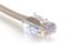 Show details for CAT6 Patch Cable - 10 FT, Gray, Assembled Picture of CAT6 Patch Cable - 10 FT, Gray, Assembled