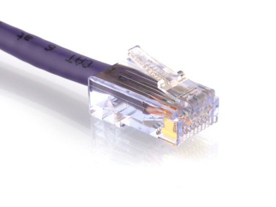 Picture of CAT6 Patch Cable - 1 FT, Purple, Assembled