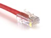 Picture of CAT6 Patch Cable - 100 FT, Red, Assembled