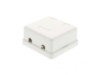 Picture of 2 Port Surface Mount Box - White