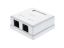 Picture of Surface Mount Box with CAT5e 110 Punch Down Terminals -Dual  RJ45 - 8 Conductor