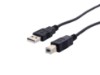 Picture of USB 2.0 Cable A to B M/M - 6 FT