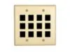 Picture of 12 Port Keystone Faceplate - Dual Gang - Ivory