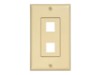 Picture of 2 Port Decorex Face Plate Insert - Ivory