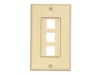 Picture of 3 Port Decorex Face Plate Insert - Ivory