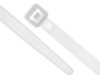 Picture of 8 Inch Natural Standard Cable Tie - 100 Pack