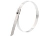 Picture of 12 Inch Standard 316 Stainless Steel Cable Tie - 100 Pack
