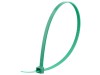 Picture of 11 7/8 Inch Green Nylon Cable Tie - 100 Pack