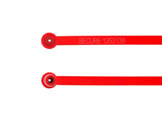 Picture of 8 Inch Red Plastic Security Seals - 100 Pack