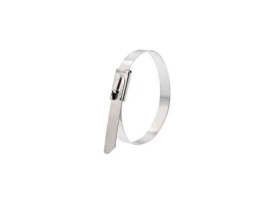 Picture of 5 Inch Stainless Steel Cable Ties - 100 Pack, 304 Grade, 200 Lbs Tensile Strength