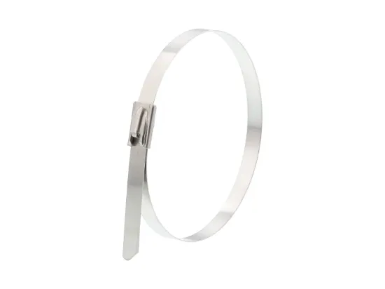 Picture of 8 Inch Stainless Steel Cable Ties - 100 Pack