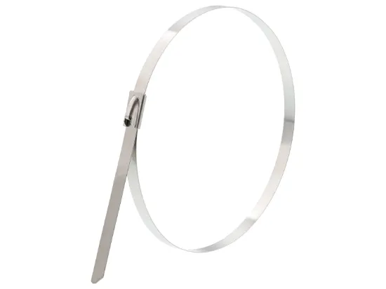 Picture of 12 Inch Stainless Steel Cable Ties - 100 Pack
