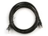 Picture of CAT5e Patch Cable - Black, Booted