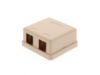 Picture of 2 Port Surface Mount Box