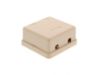 Picture of 2 Port Surface Mount Box