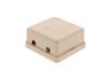 Picture of 2 Port Surface Mount Box