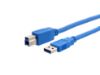 Picture of USB 3.0 SuperSpeed Cable A to B M/M