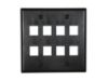 Picture of 8 Port Keystone Faceplate - Dual Gang