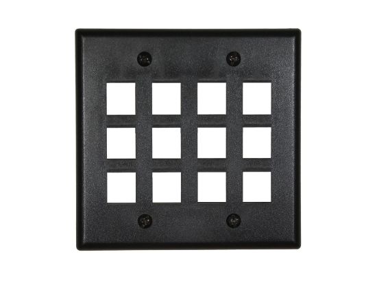 Picture of 12 Port Keystone Faceplate - Dual Gang