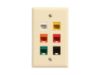 Picture of 6 Port Keystone Faceplate - Single Gang