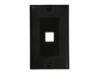 Picture of 1 Port Decorex Face Plate Insert